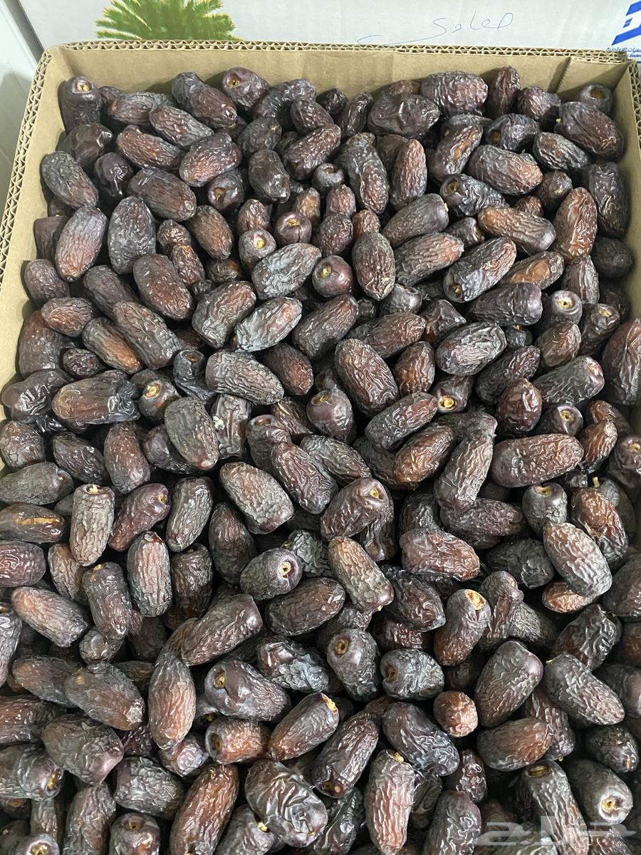 عجوة وصفاوي للبيع جمله وتفريد64480565262593111