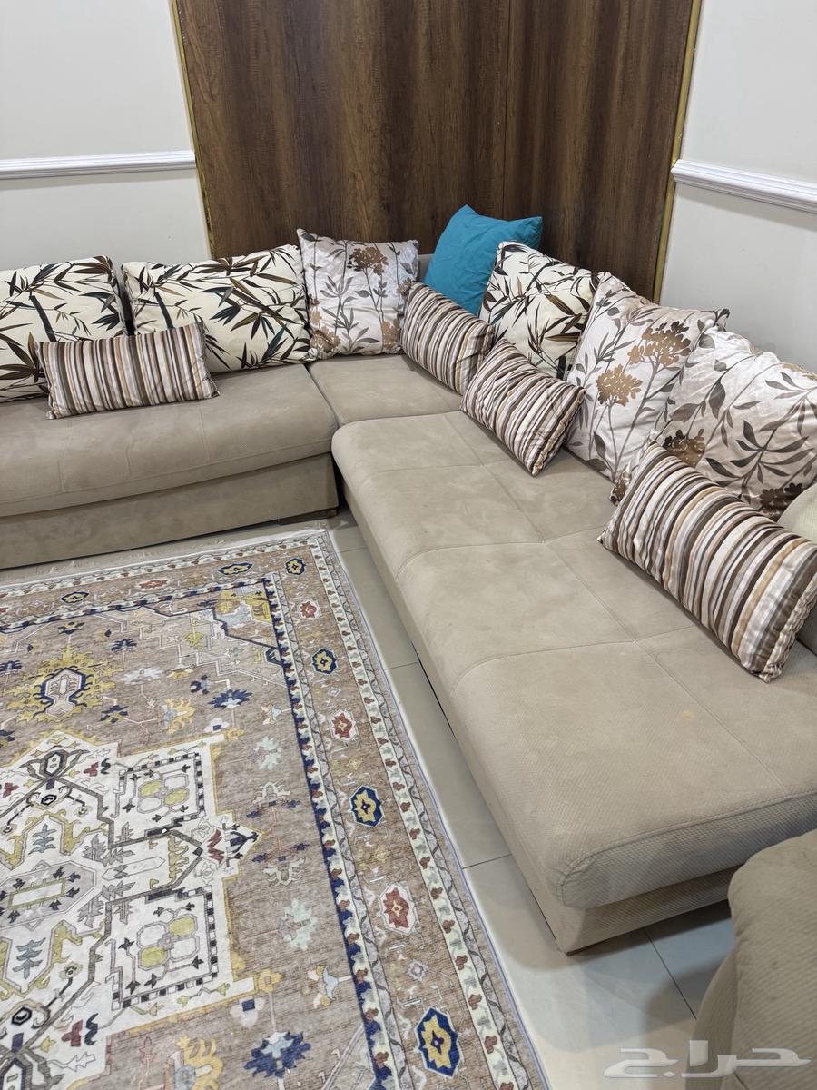 كنب زاوية64475225888257112