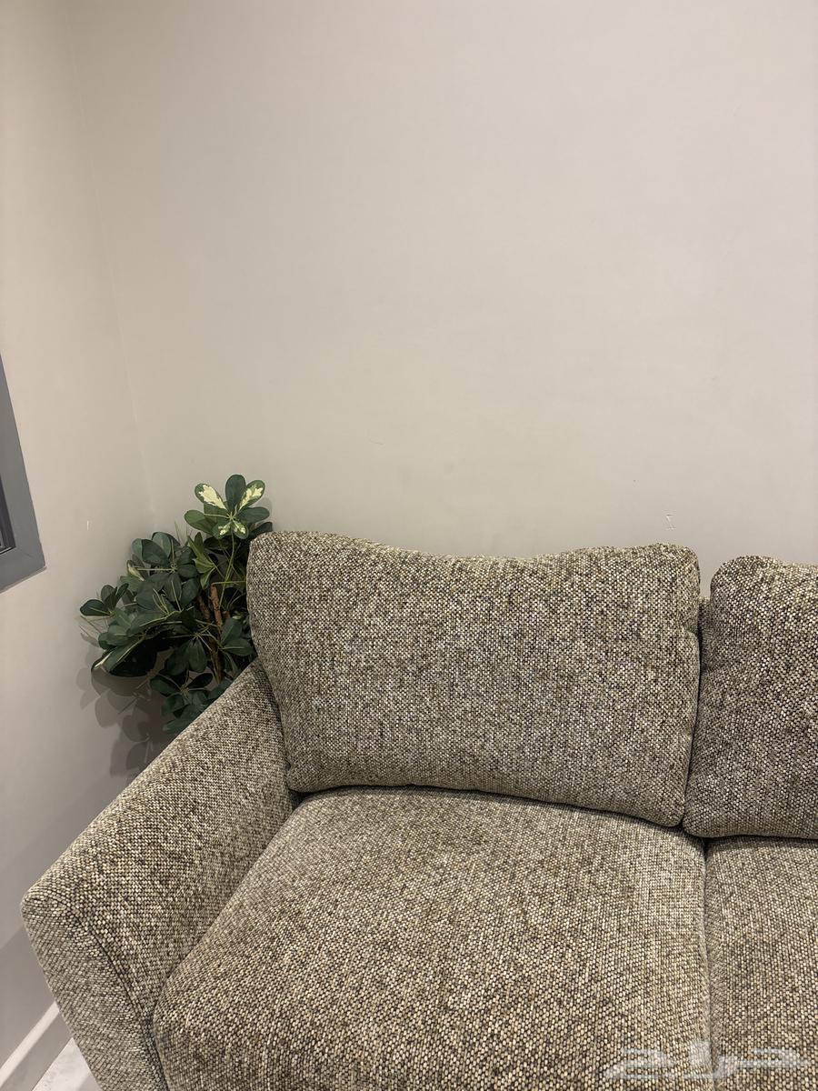 كنبه64483908973443111