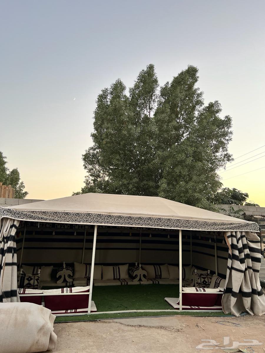 بيت الشعر المطور على هيكل حديد64479619037314112