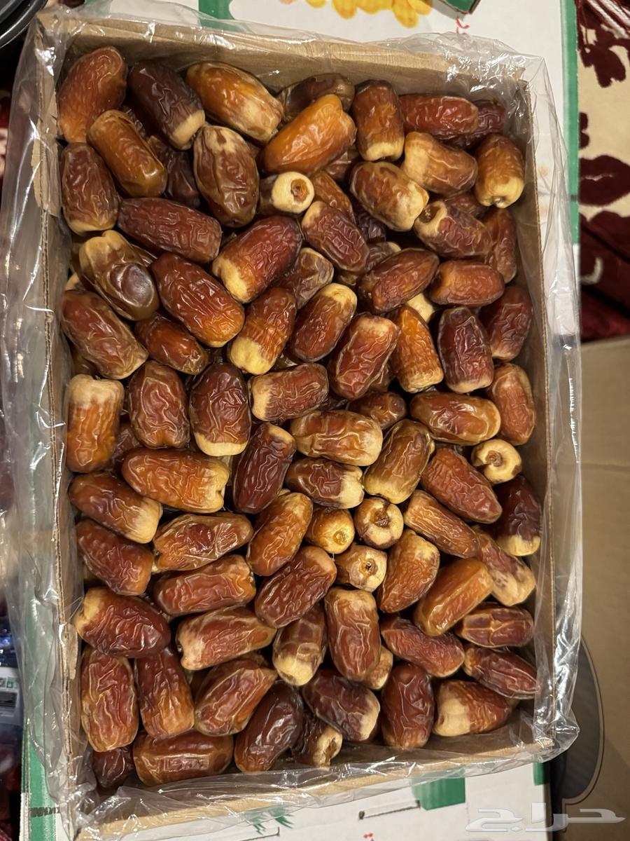 Luxury Wrapped Sukkari Dates64485447098242111