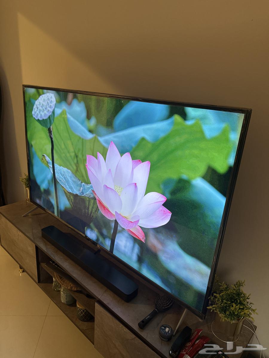 تلفزيون 65 بوصة فائق الحجم للبيع64482959814403111