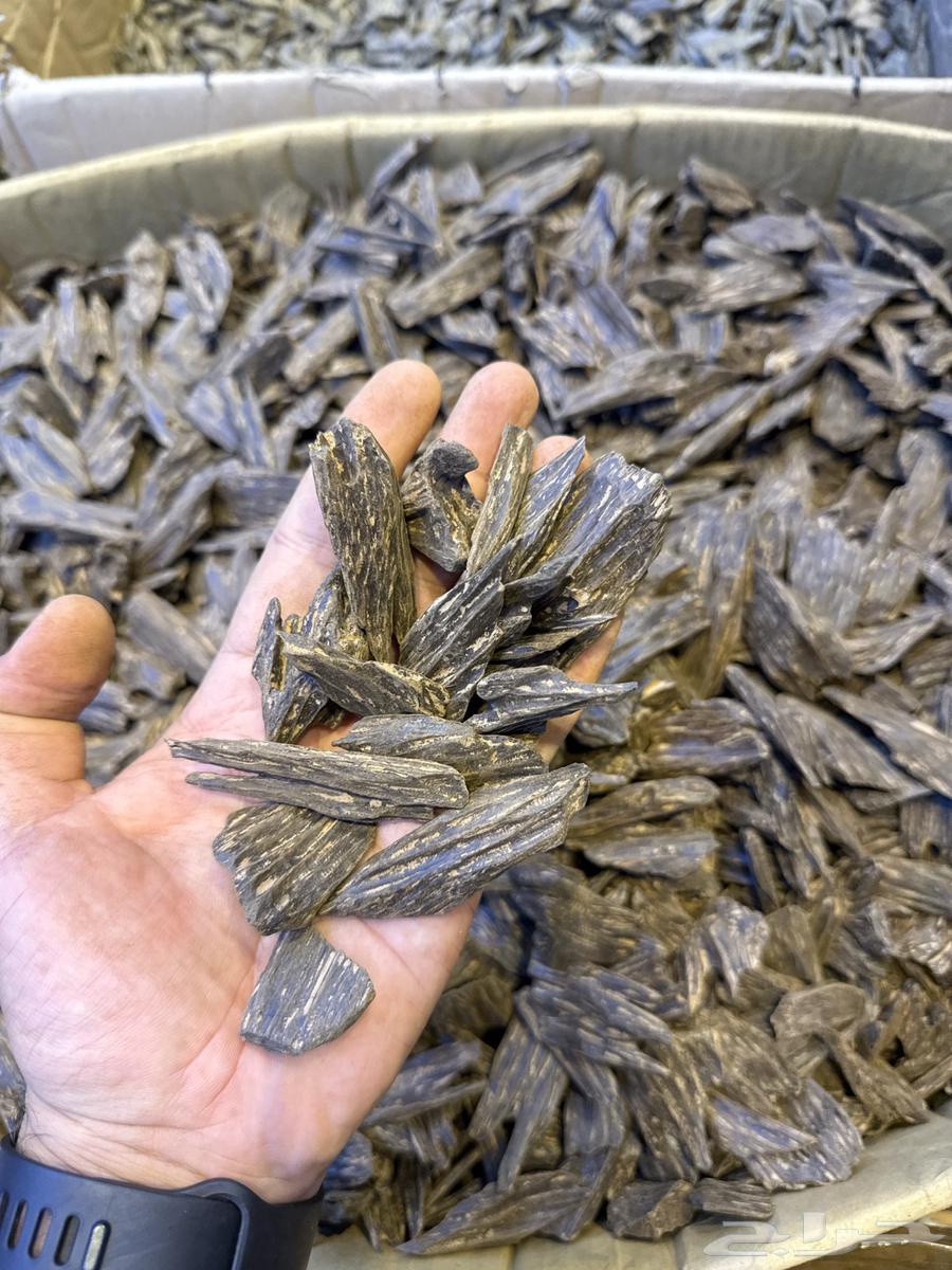 عود طبيعي محسن64488048767745113