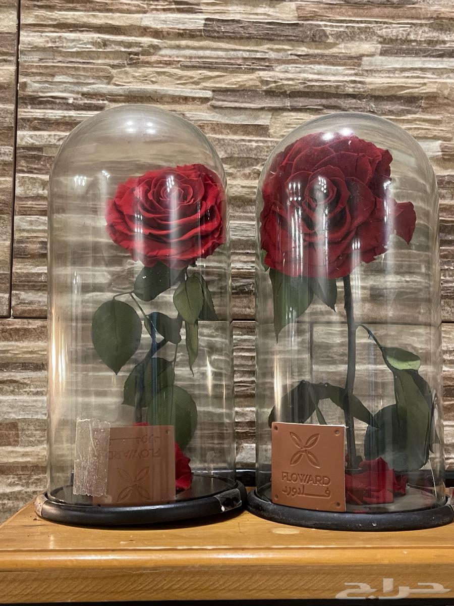 ورد من فلاورد جديد الوردة تبقى سنوات ماتموت64480908922242111