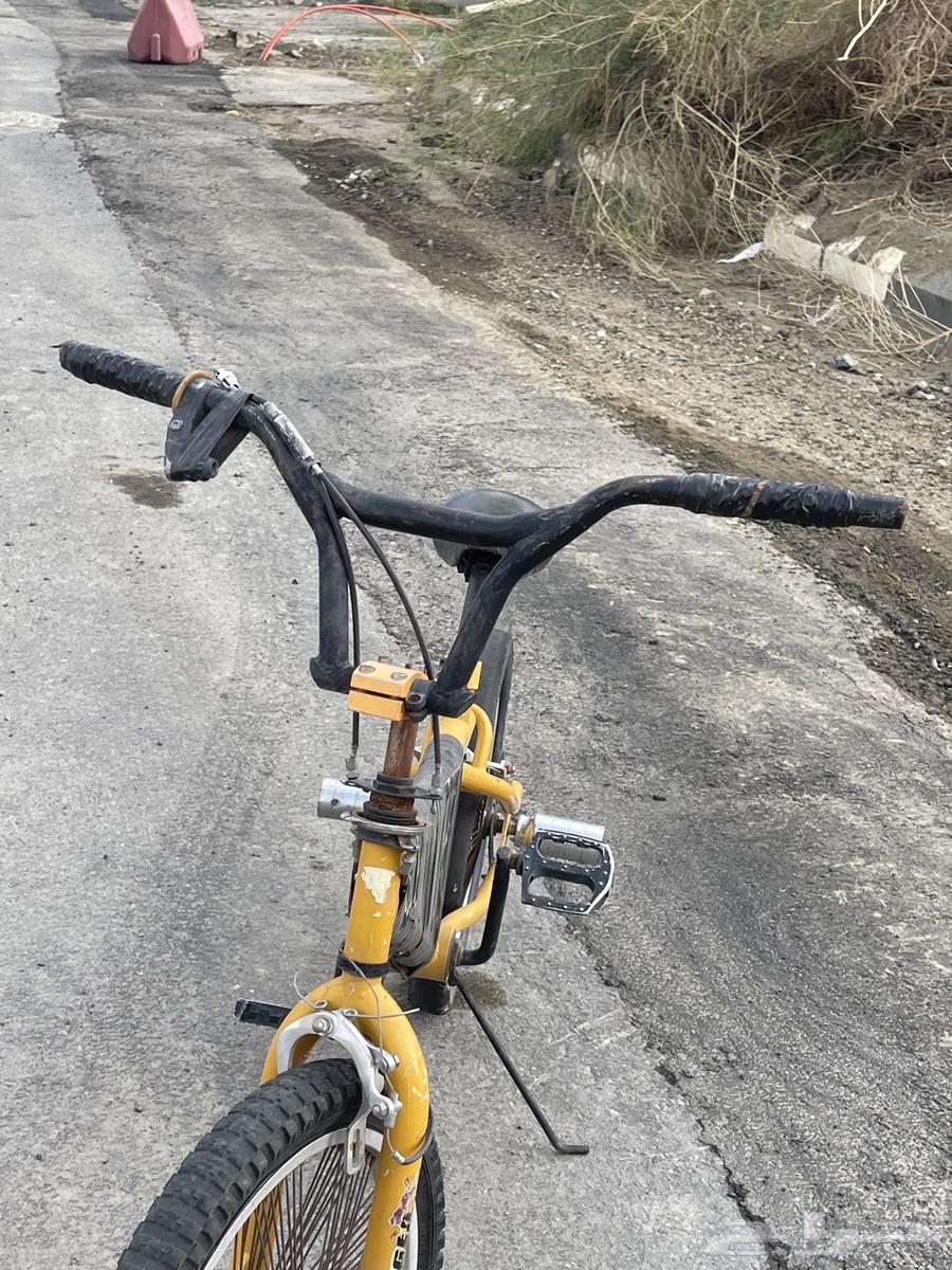 سيكل كوبرا للبيع نظيف64483178185985110