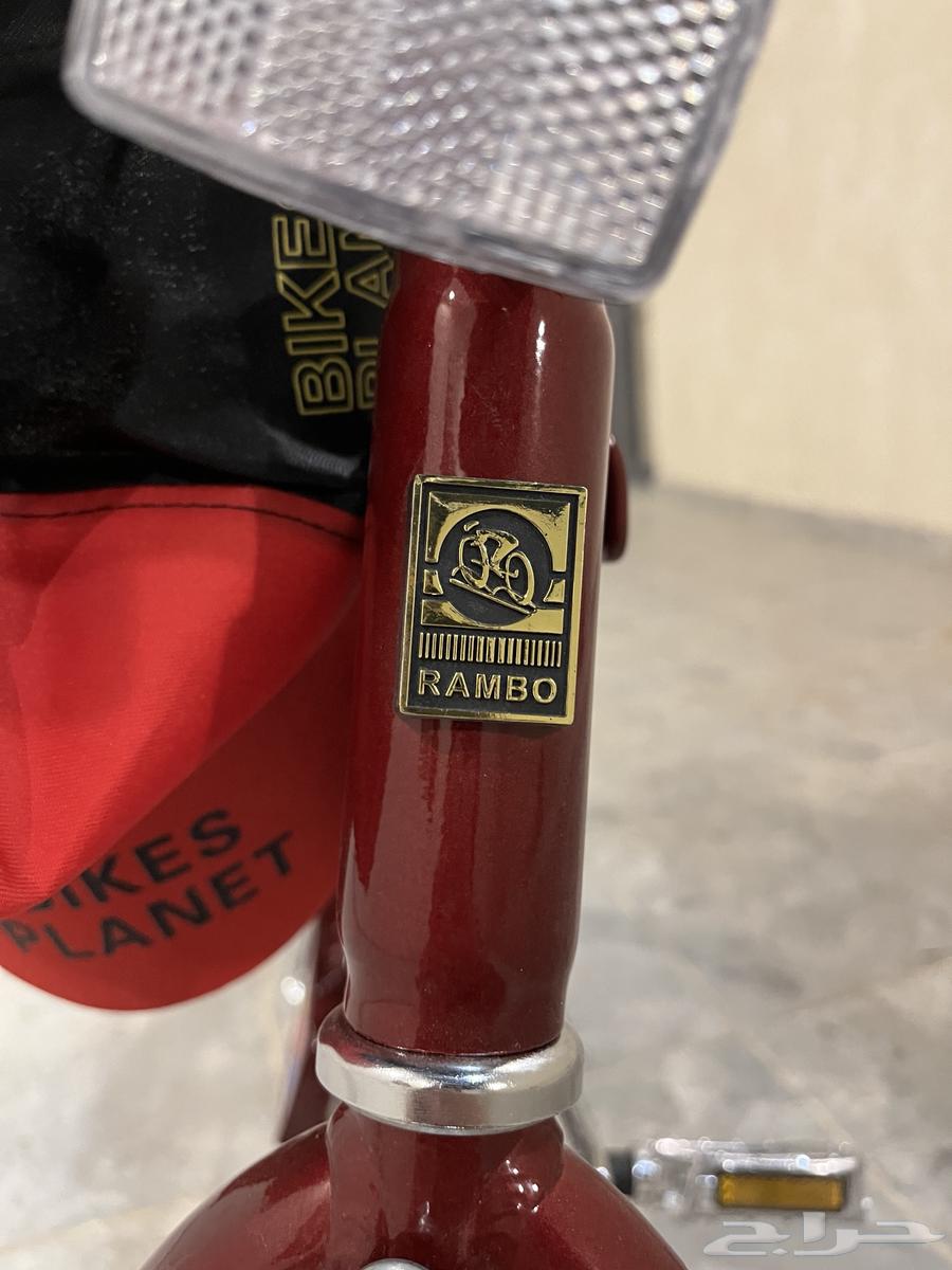 رامبو عنابي الملحم ألاصلي جديدد64485175165057113