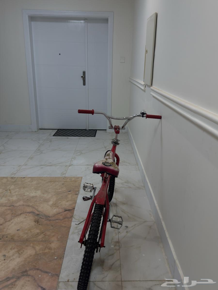 سيكل للبيع مقاس 20 السعر 150 قابل للتفاوض سبب البيع صغير64481032773507113