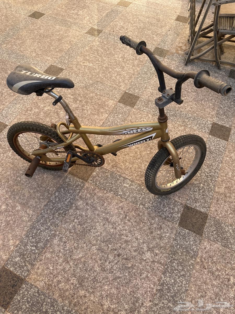 Cycle64482823143681113