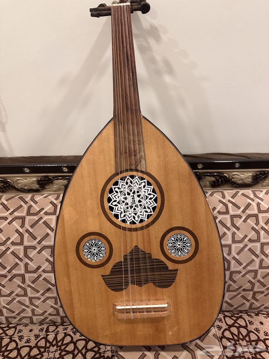 عود كهربائي ماركة فانا64481791201409110