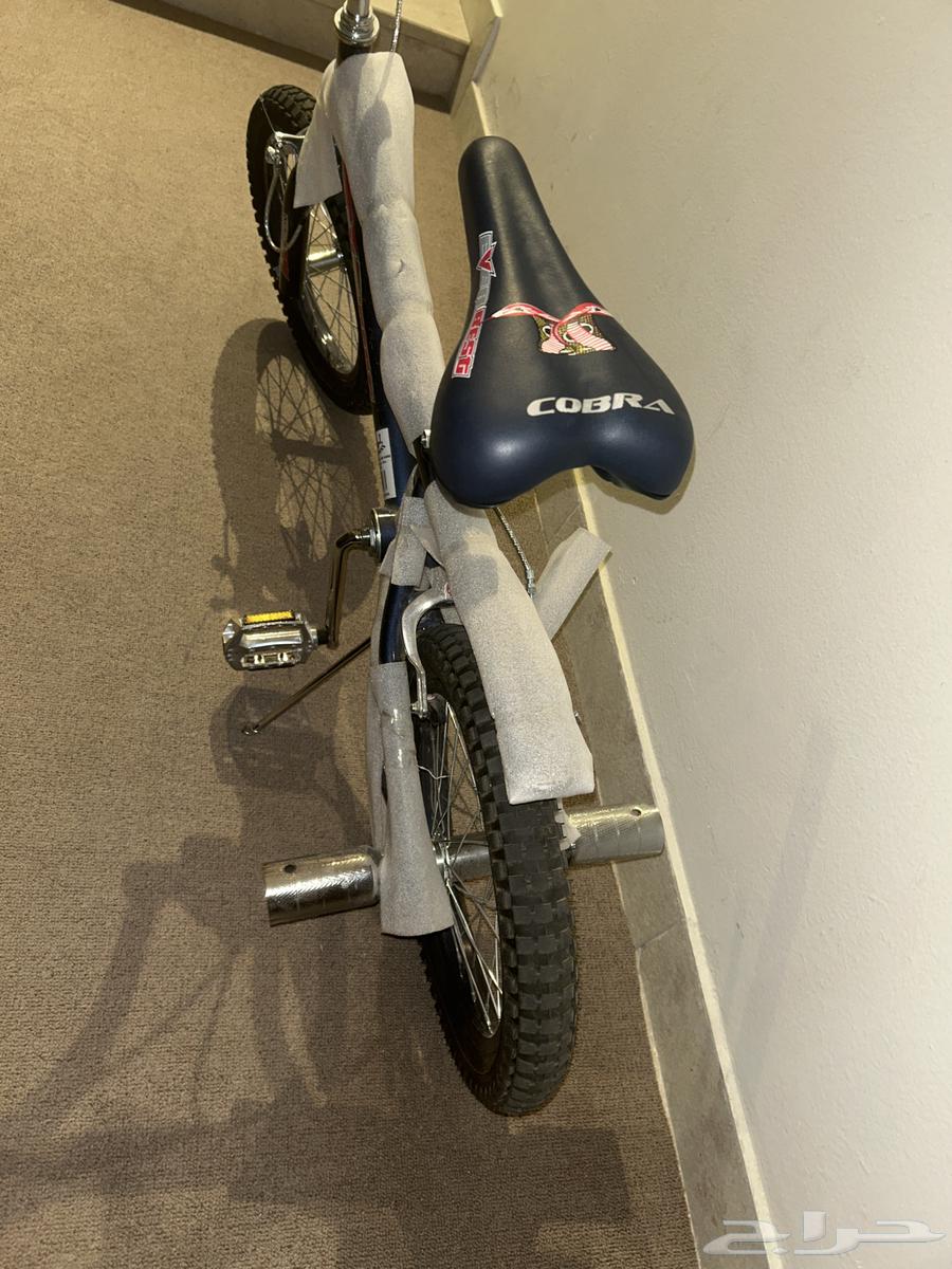 Cobra bicycle64481941755393112