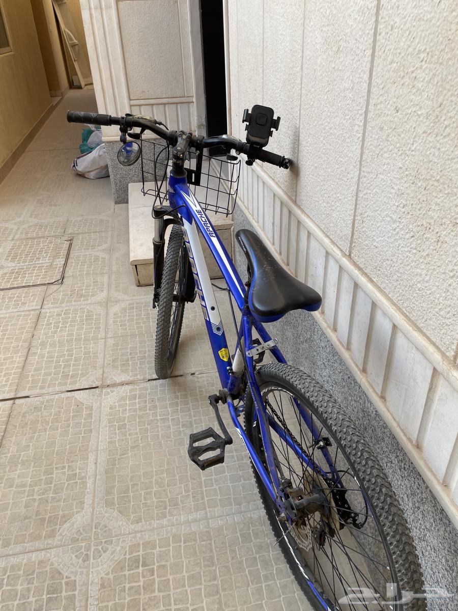 دراجة جبلية 26 إنش للبيع ب 400 ريال (الرياض حي العارض64483259971841112