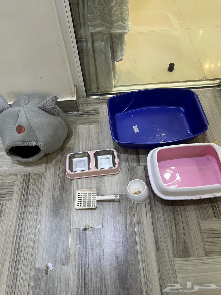 Cat tools64479976222721111