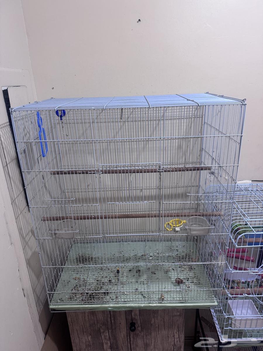 قفص طيور كبير ب 150 ريال البيع اليوم64479328246914110