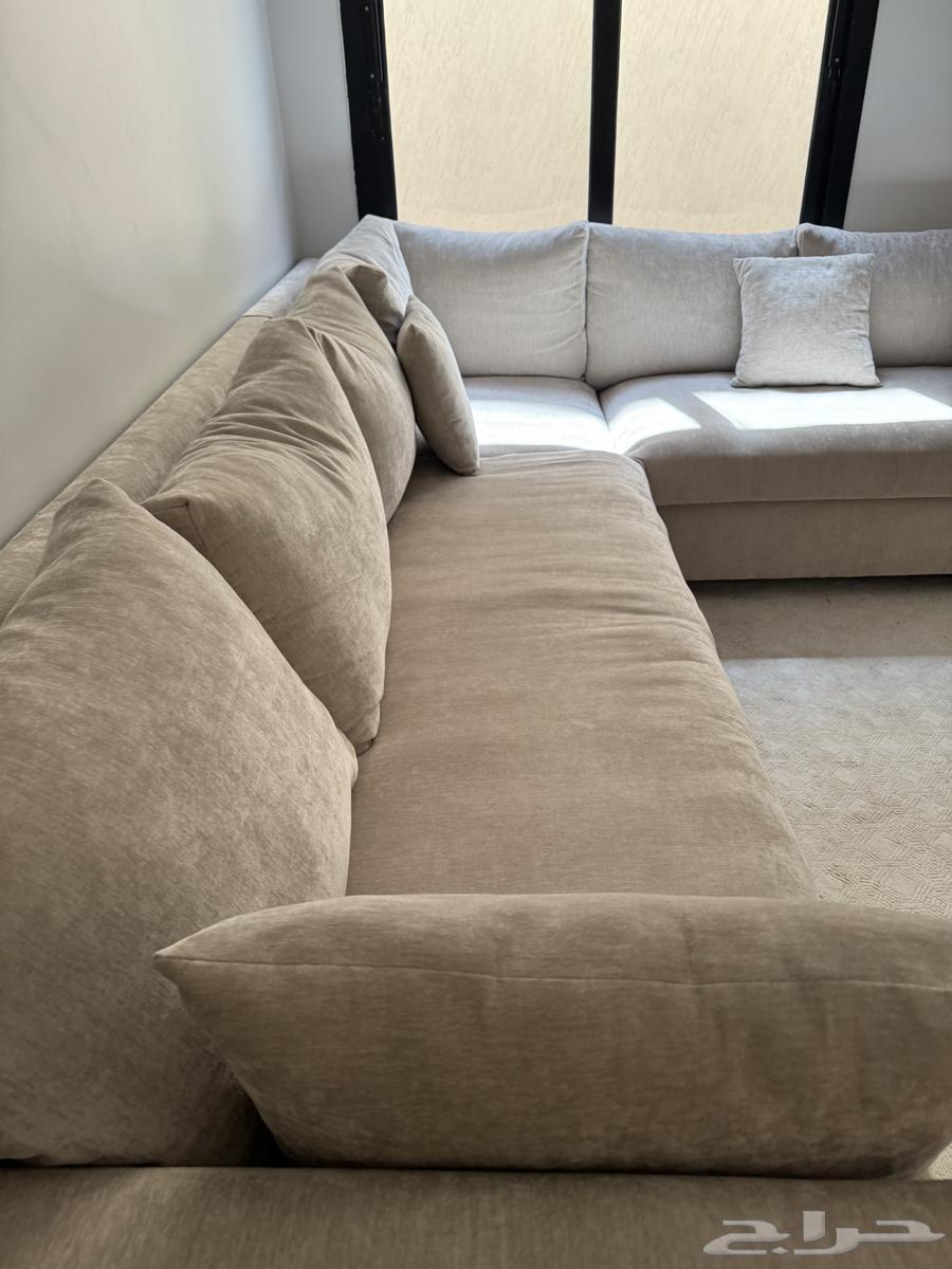 اثاث للبيع كنب وسجاد64481305405443110