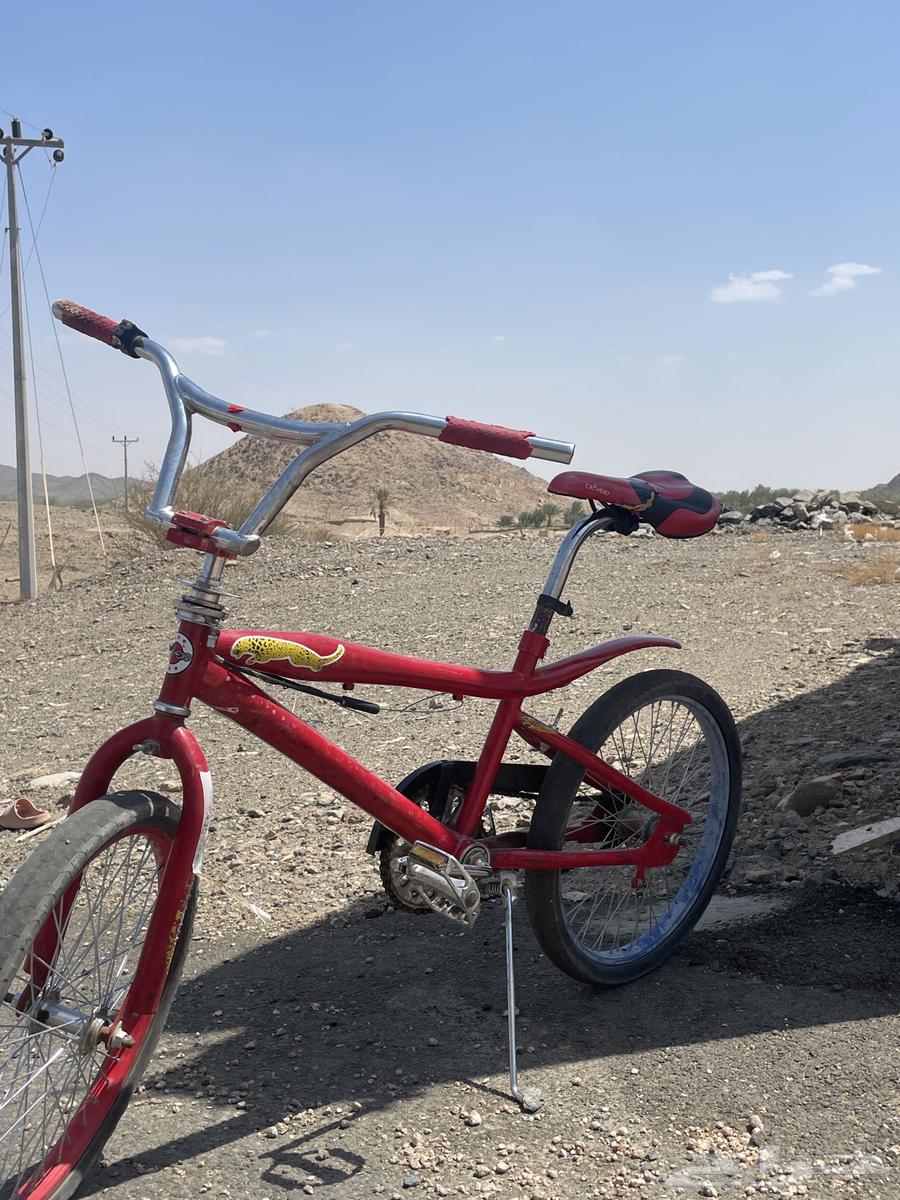 Clean and intact bicycle64481319090562110