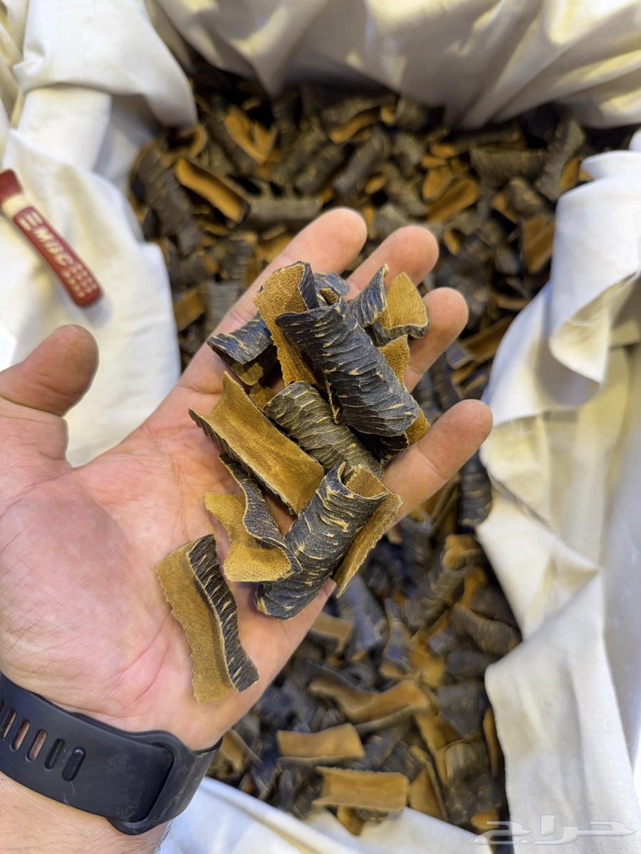 عود طبيعي محسن64488048767745110