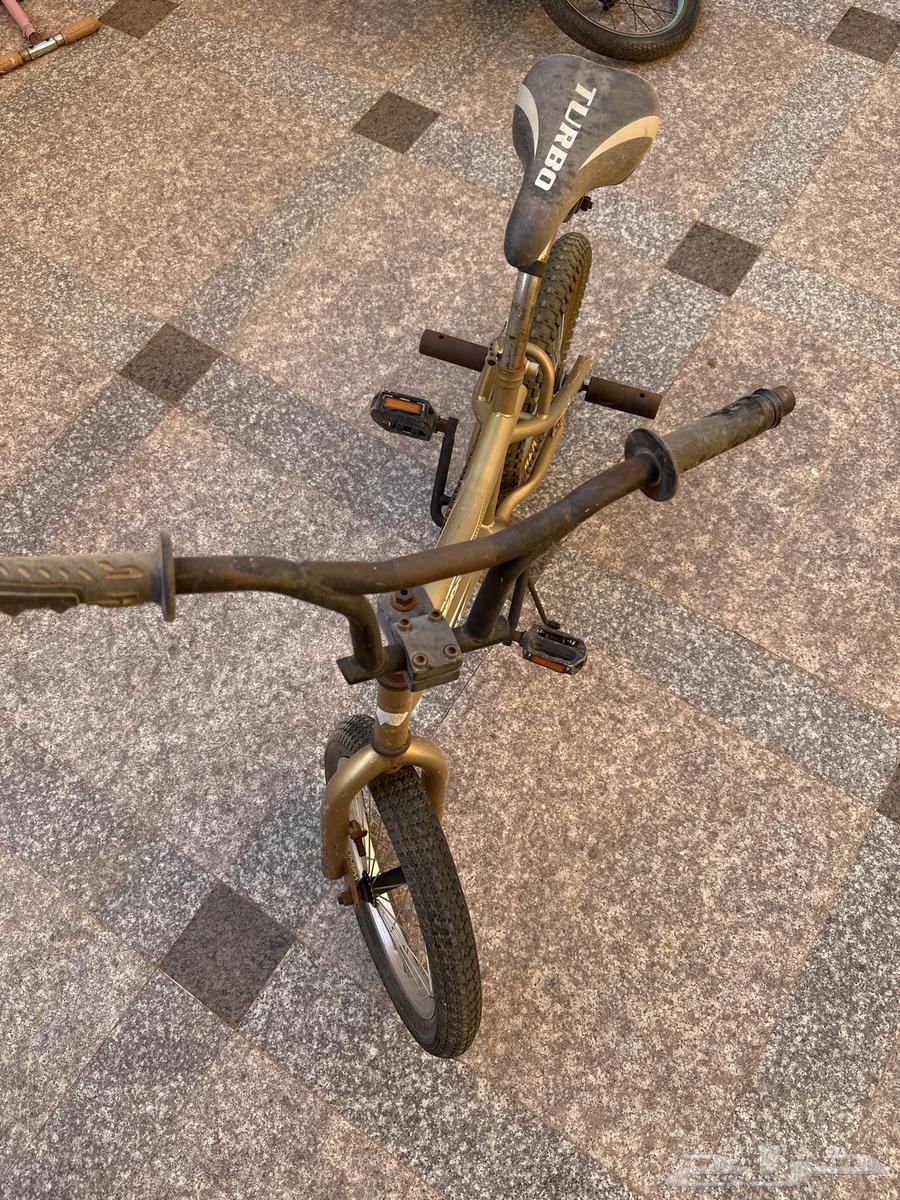 Cycle64482823143681112