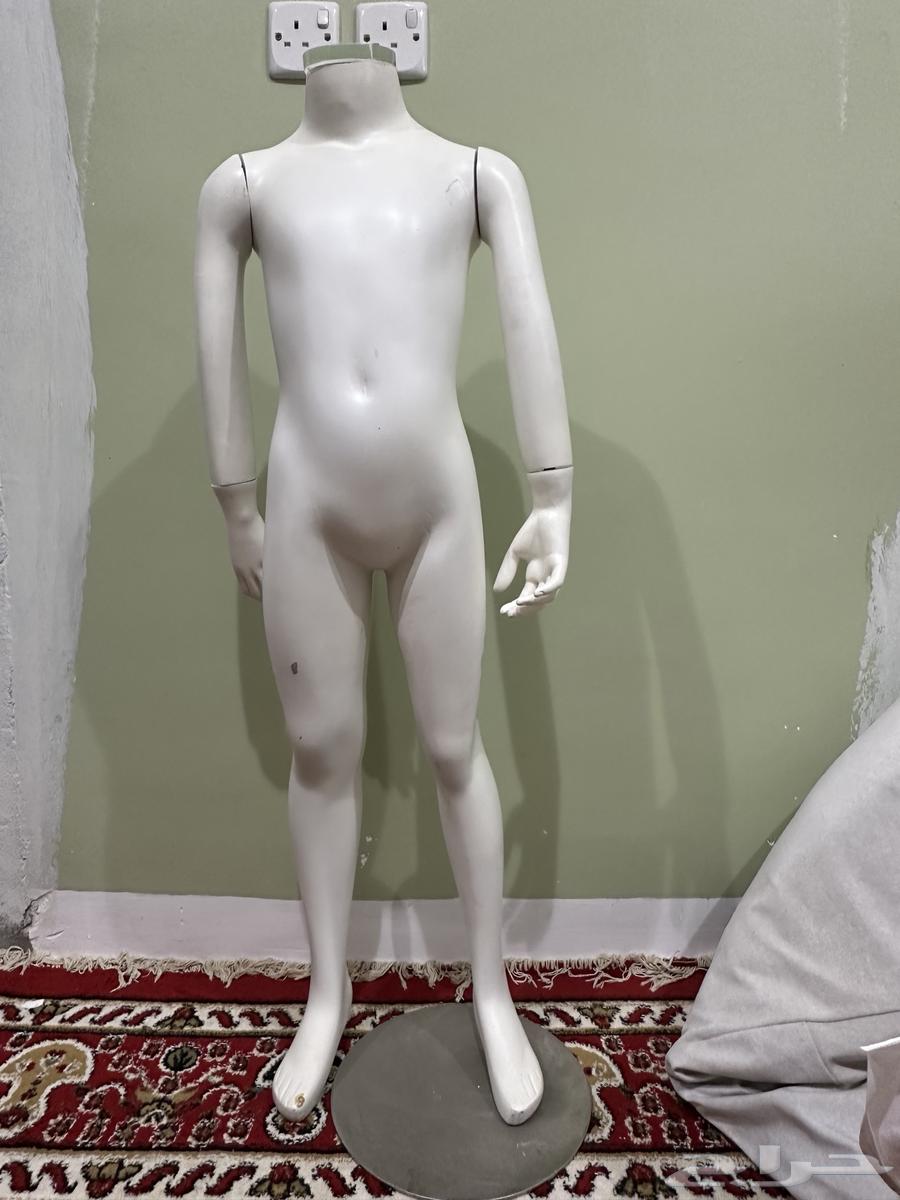 Mannequins in various sizes for fashion display64480537737859114