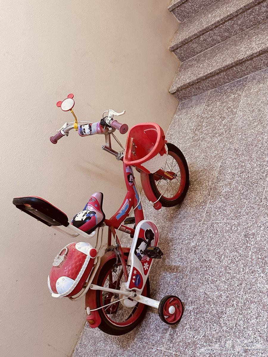 دراجه شبه جديده منسمه الكفره الاماميه فقط64480716974209110