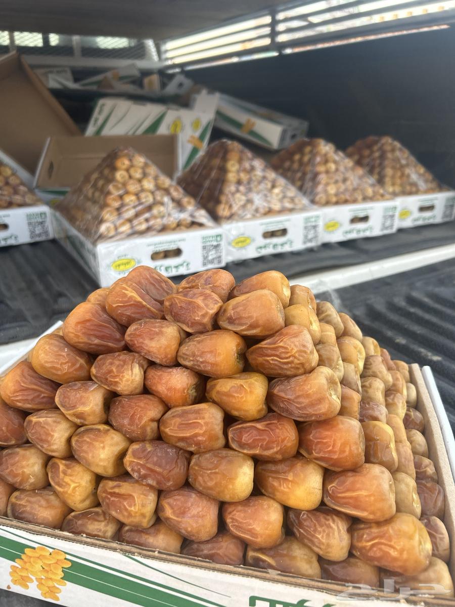 Comprehensive clearance of premium Qassim dates at near-purchase prices64483715876353114
