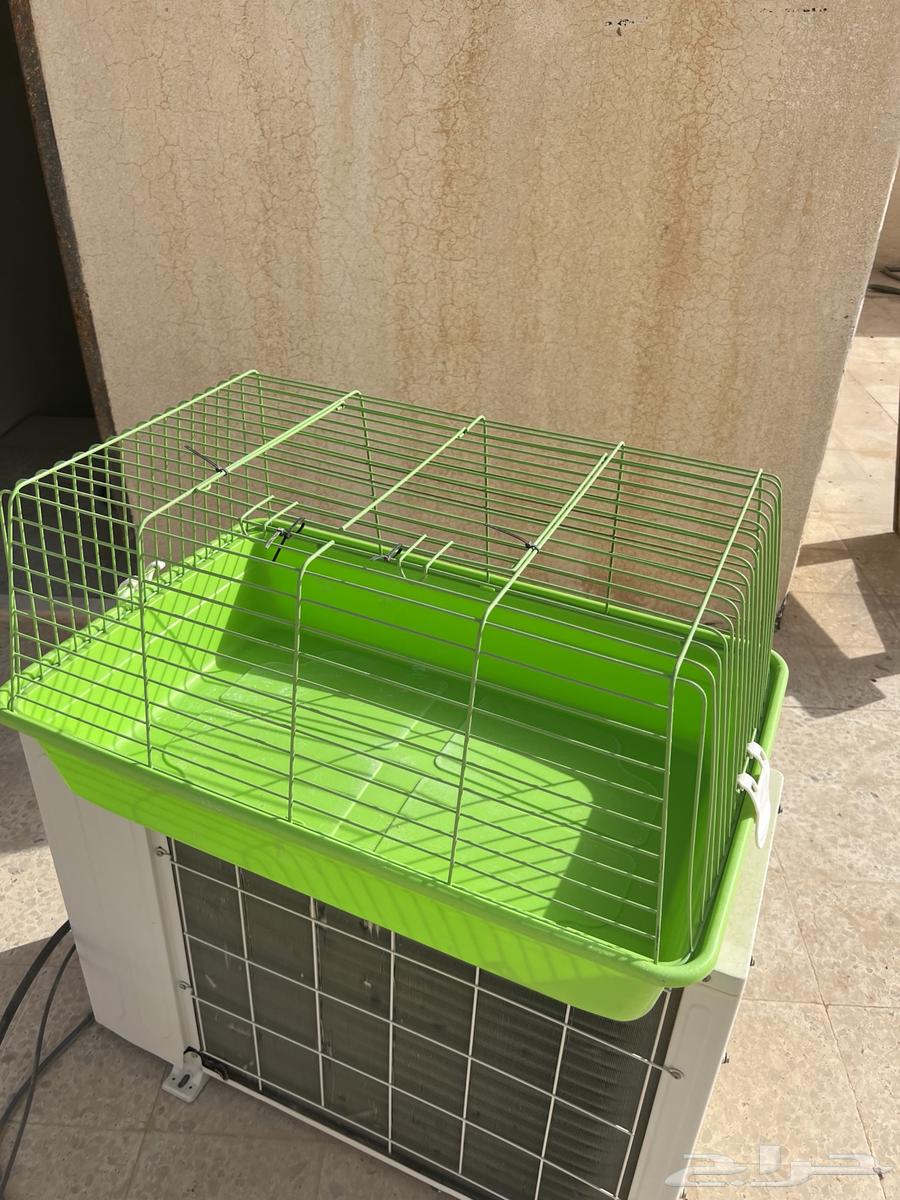 للبيع مستلزمات قطط وحوض سمك مستعجل64484552735874110