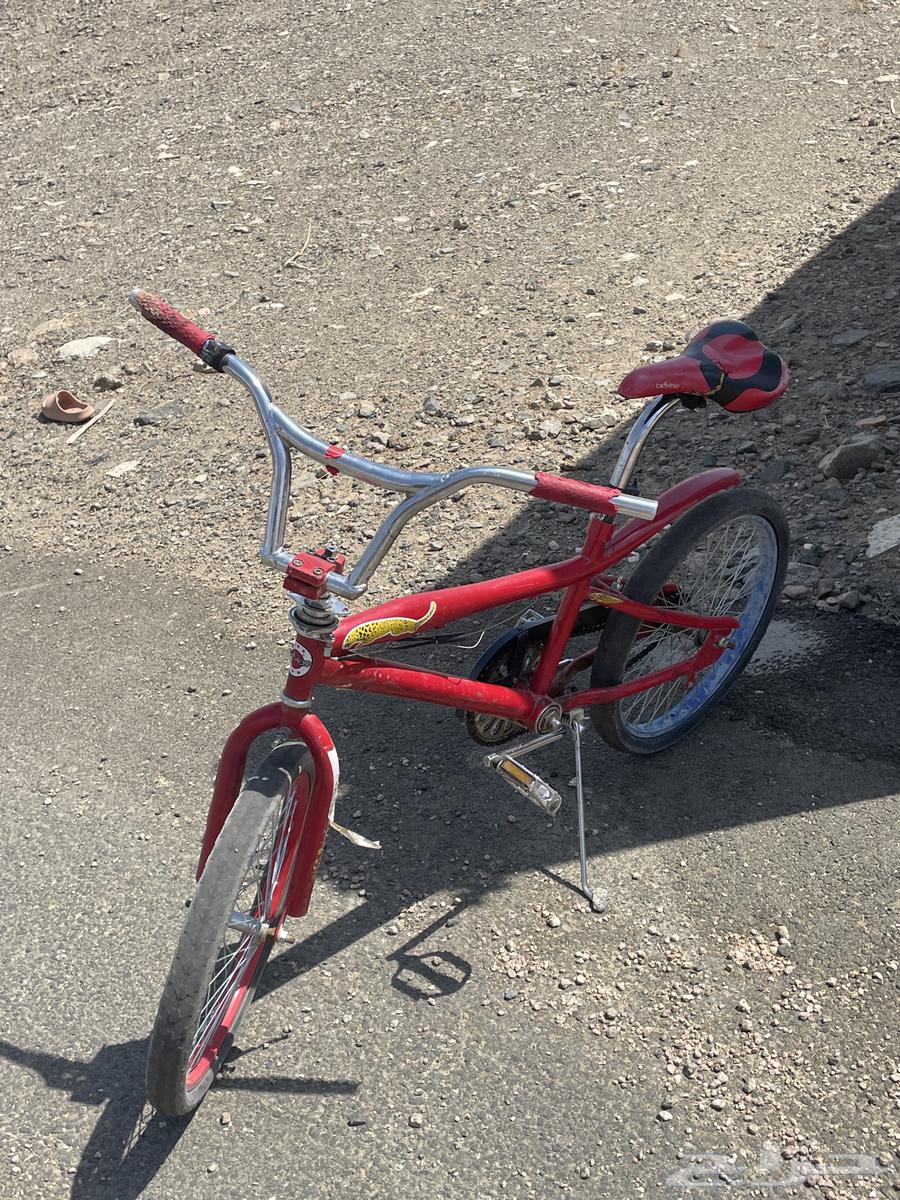 Clean and intact bicycle64481319090562111