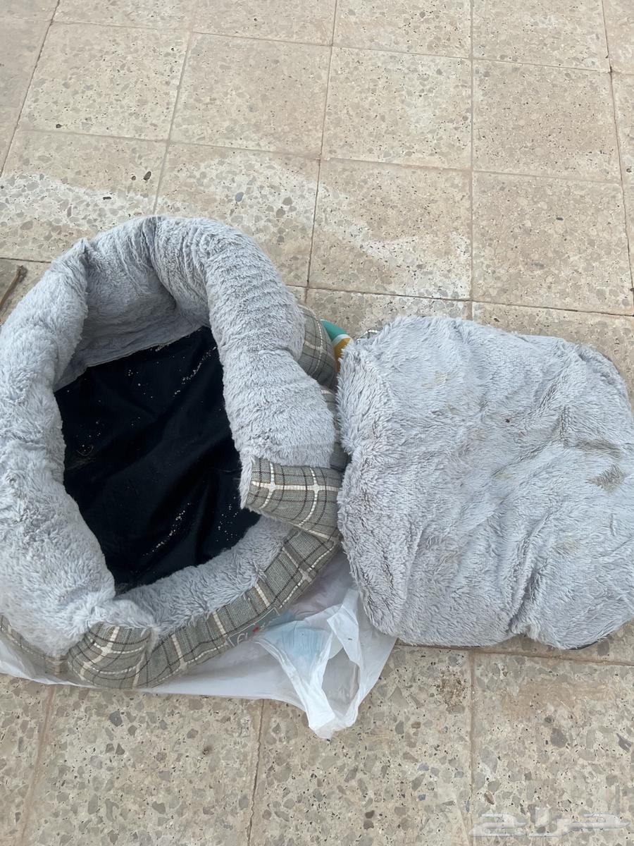 للبيع مستلزمات قطط وحوض سمك مستعجل64484552735874114