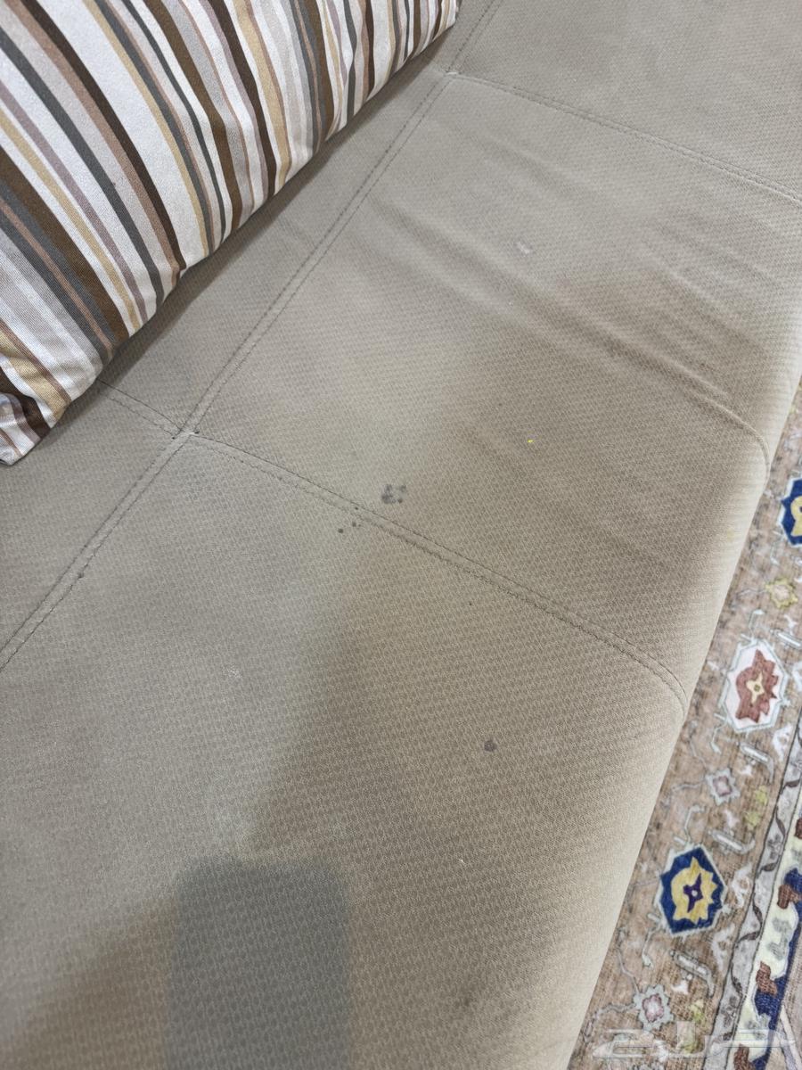 كنب زاوية64475225888257113