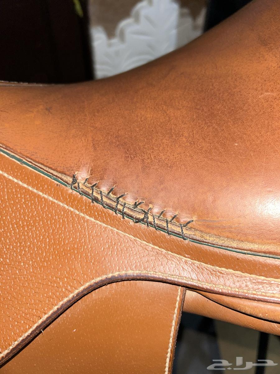 سرج قفز الحقو يا اصحاب الفروسية64478995053186112