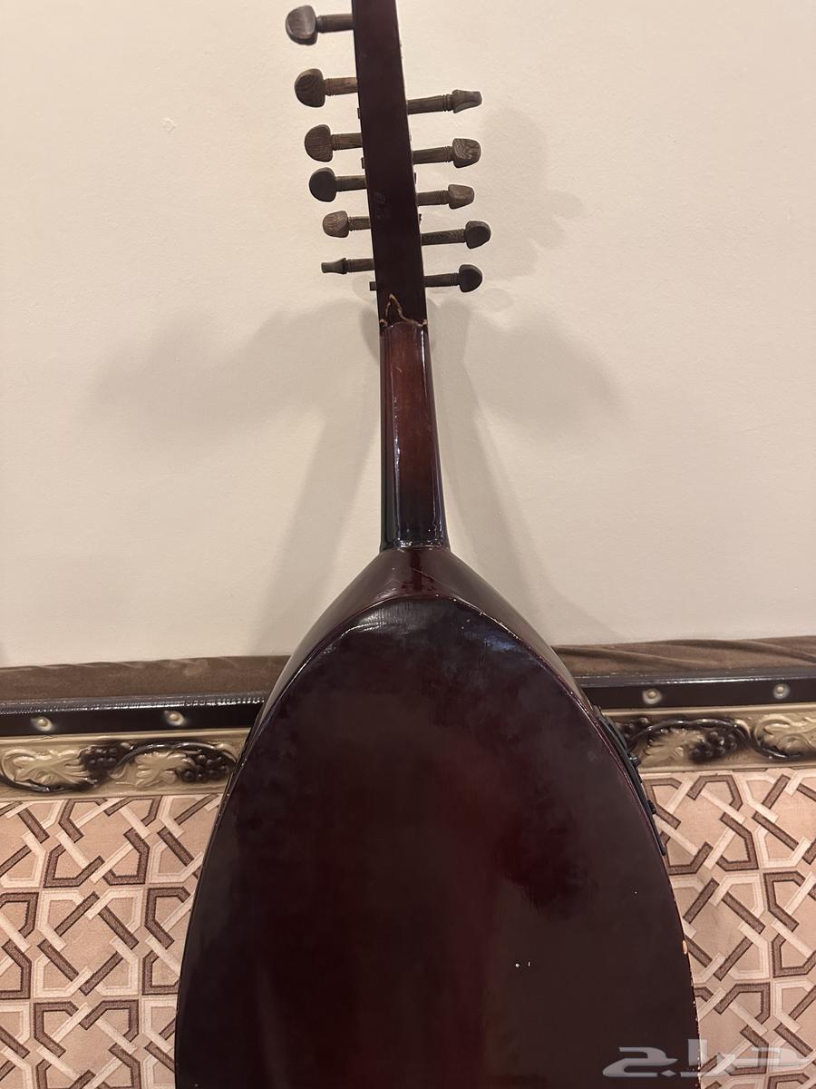 عود كهربائي ماركة فانا64481791201409113