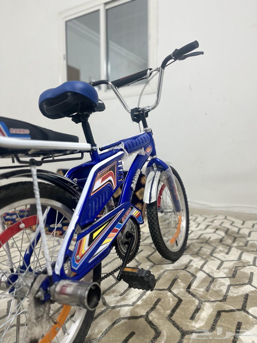 درجه رامبو للبيع64479466029570111