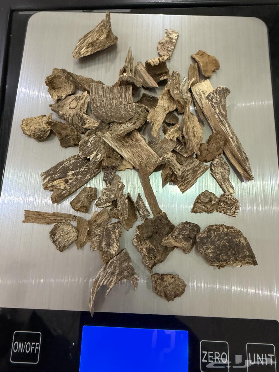 عود دقة فيتنامي طبيعي64482145721985110