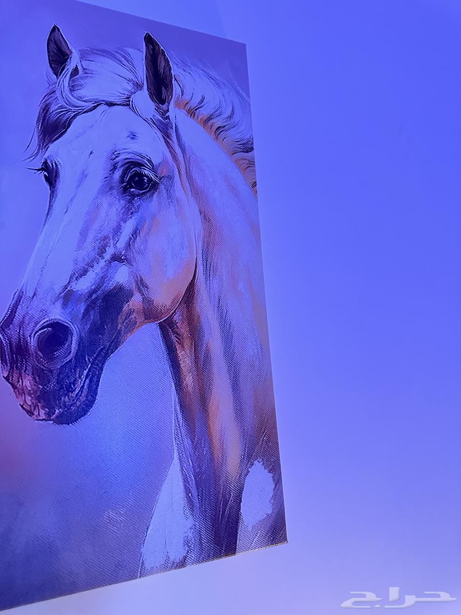 Studio64485681979779111