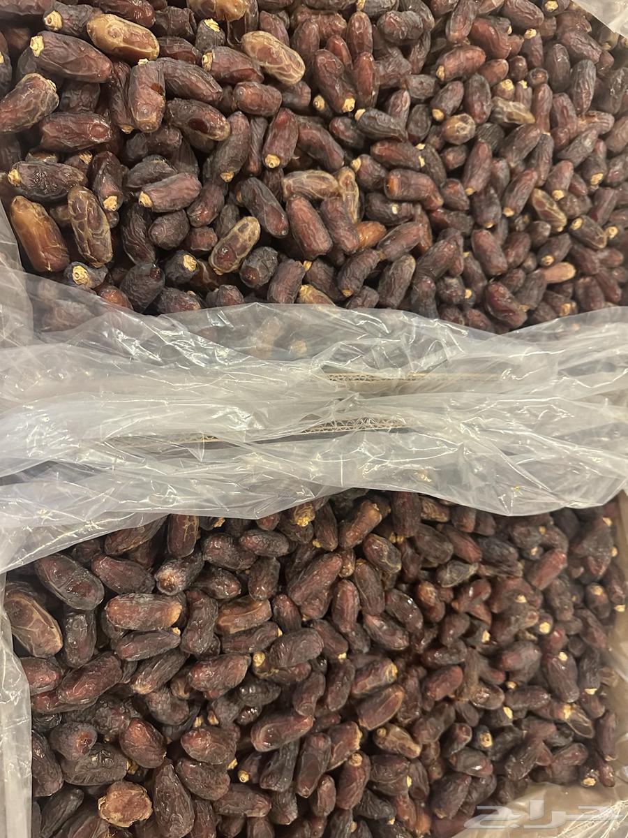 Smoked Dates Large Cartoon64480482732417110