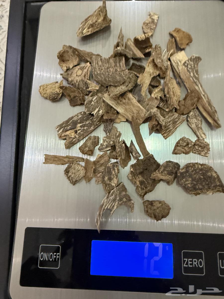 عود دقة فيتنامي طبيعي64482145721985111