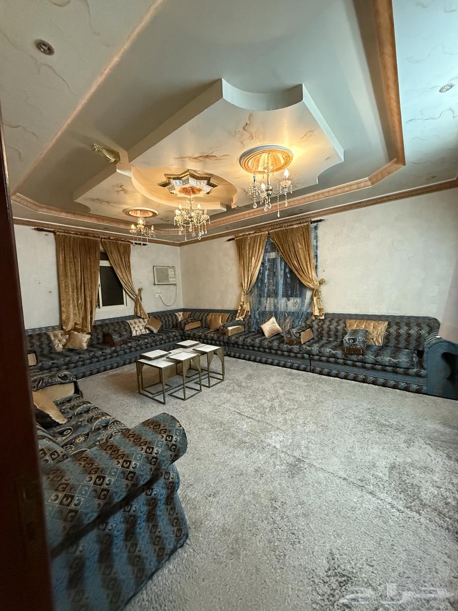 Sofa measuring five by six64483473967874110