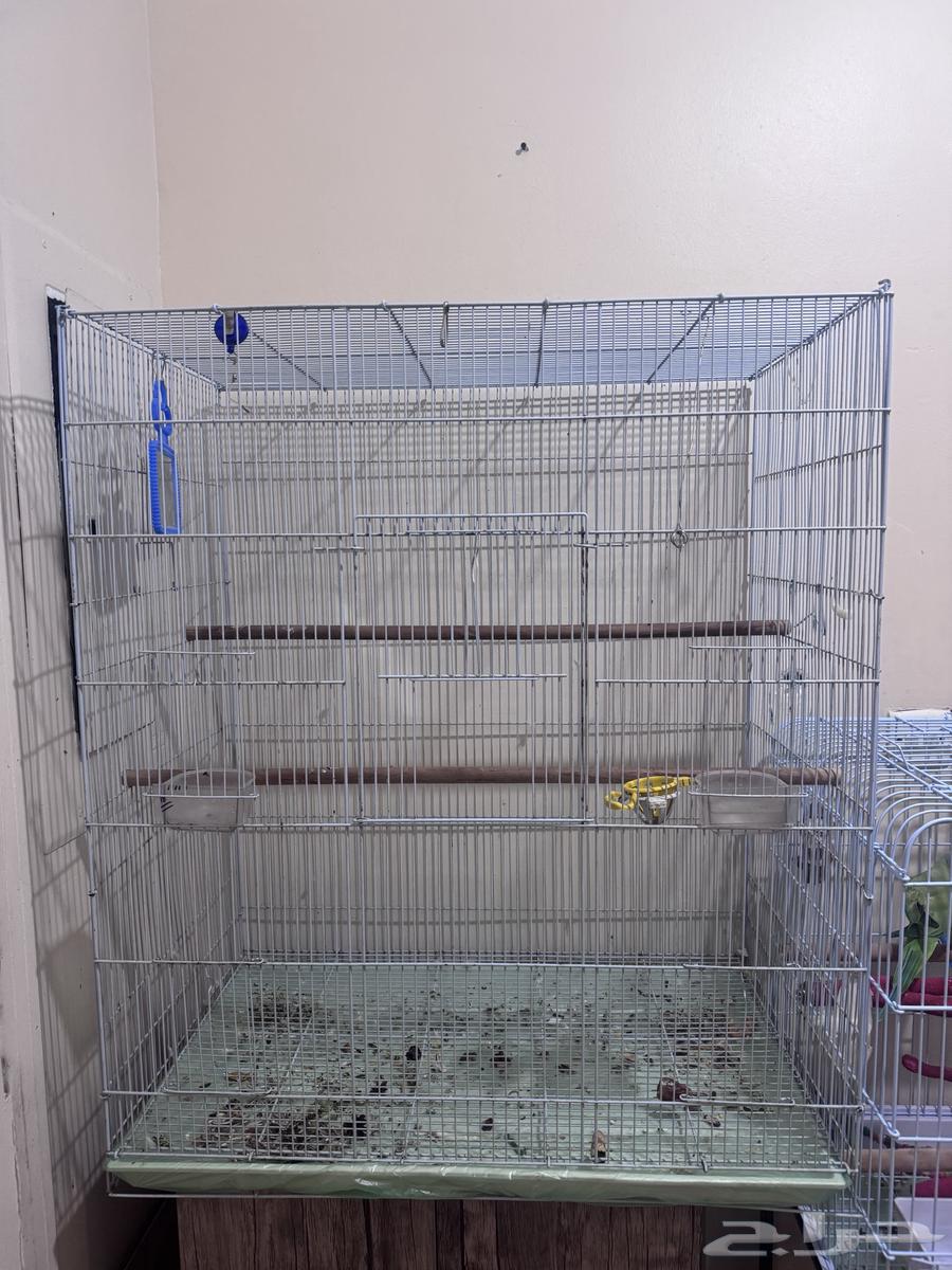 قفص طيور كبير ب 150 ريال البيع اليوم64479328246914113