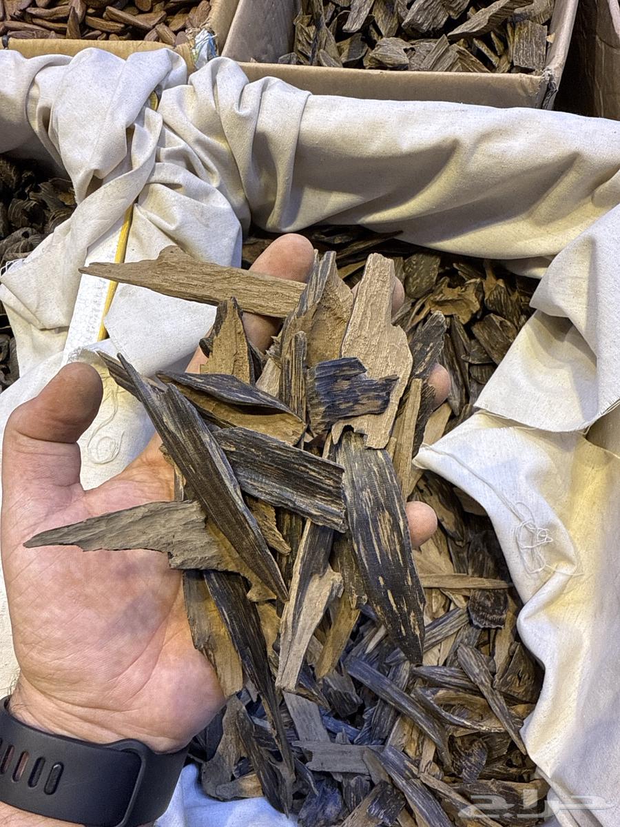 عود طبيعي محسن64488048767745114