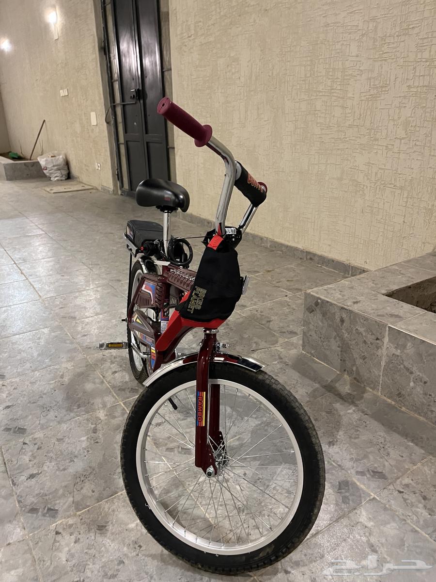 رامبو عنابي الملحم ألاصلي جديدد64485175165057111