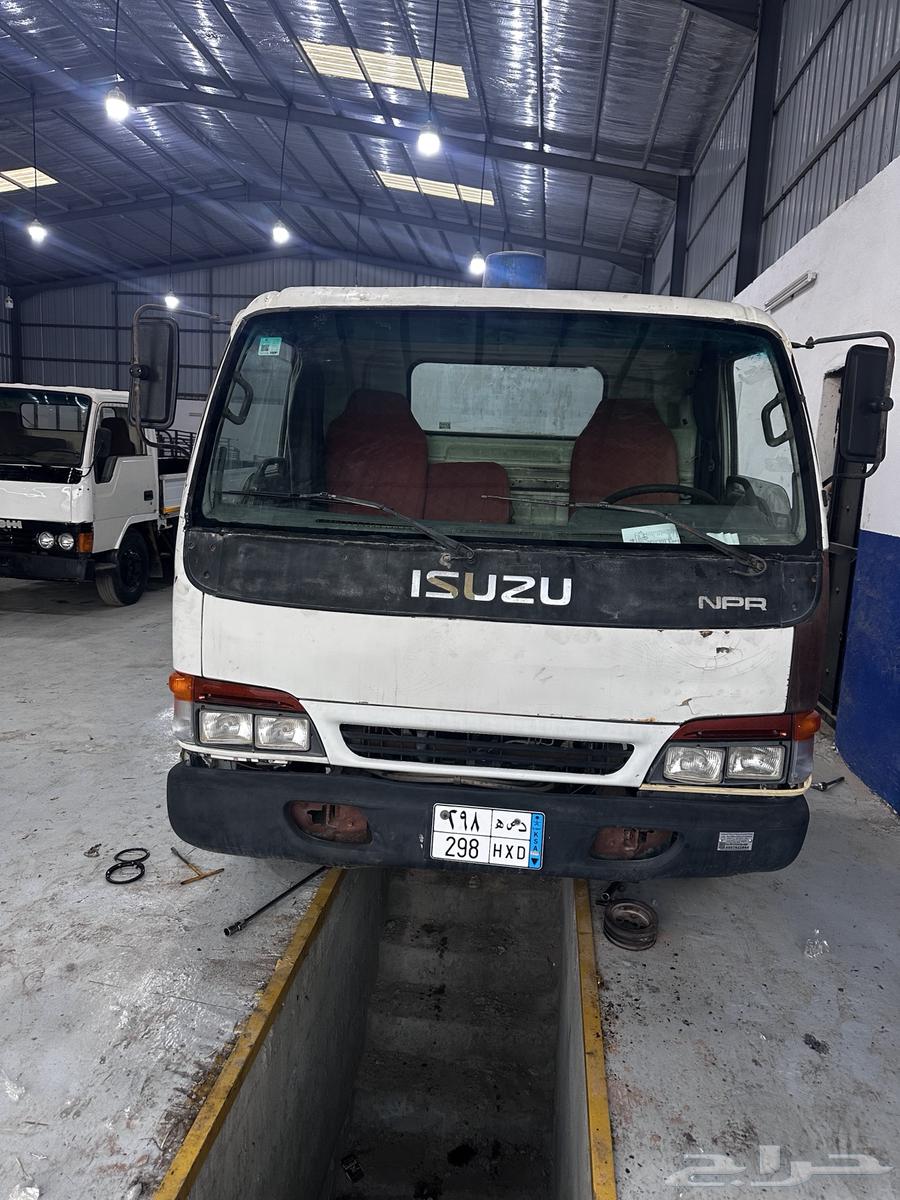 دينا ايسوزو64658906928131110