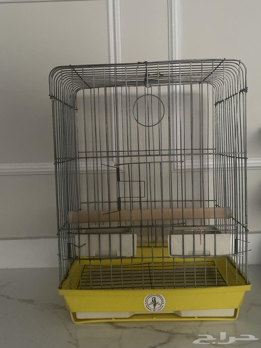 للبيع قفص طير مستعمل64483314926977110
