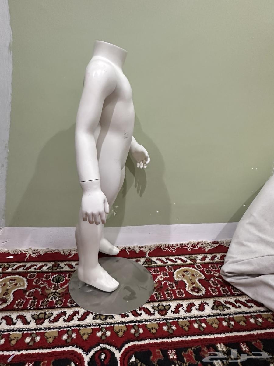 Mannequins in various sizes for fashion display64480537737859113