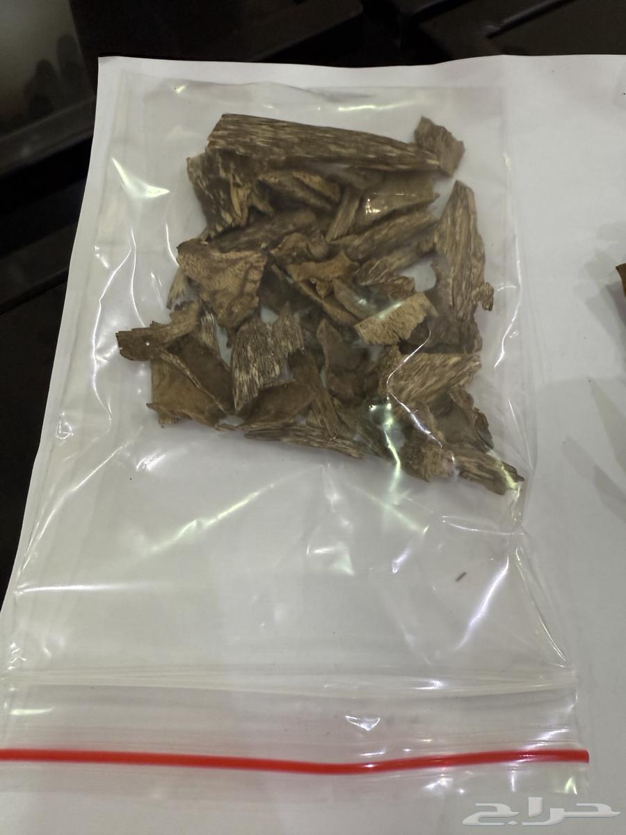 عود دقة فيتنامي طبيعي64482145721985112