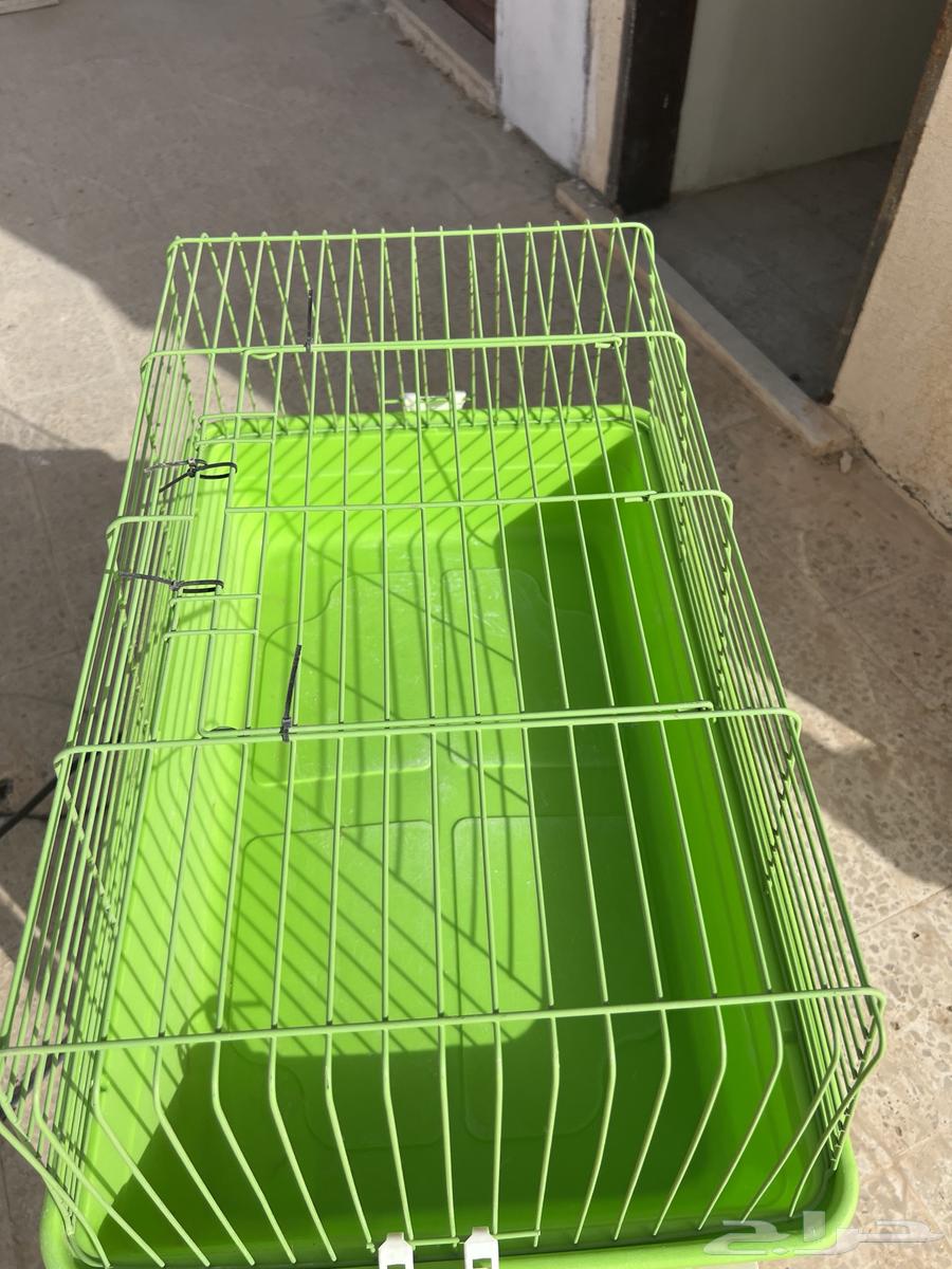 للبيع مستلزمات قطط وحوض سمك مستعجل64484552735874111