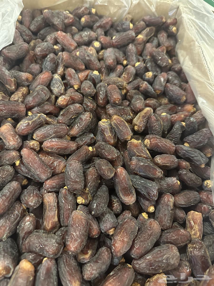 Smoked Dates Large Cartoon64480482732417112