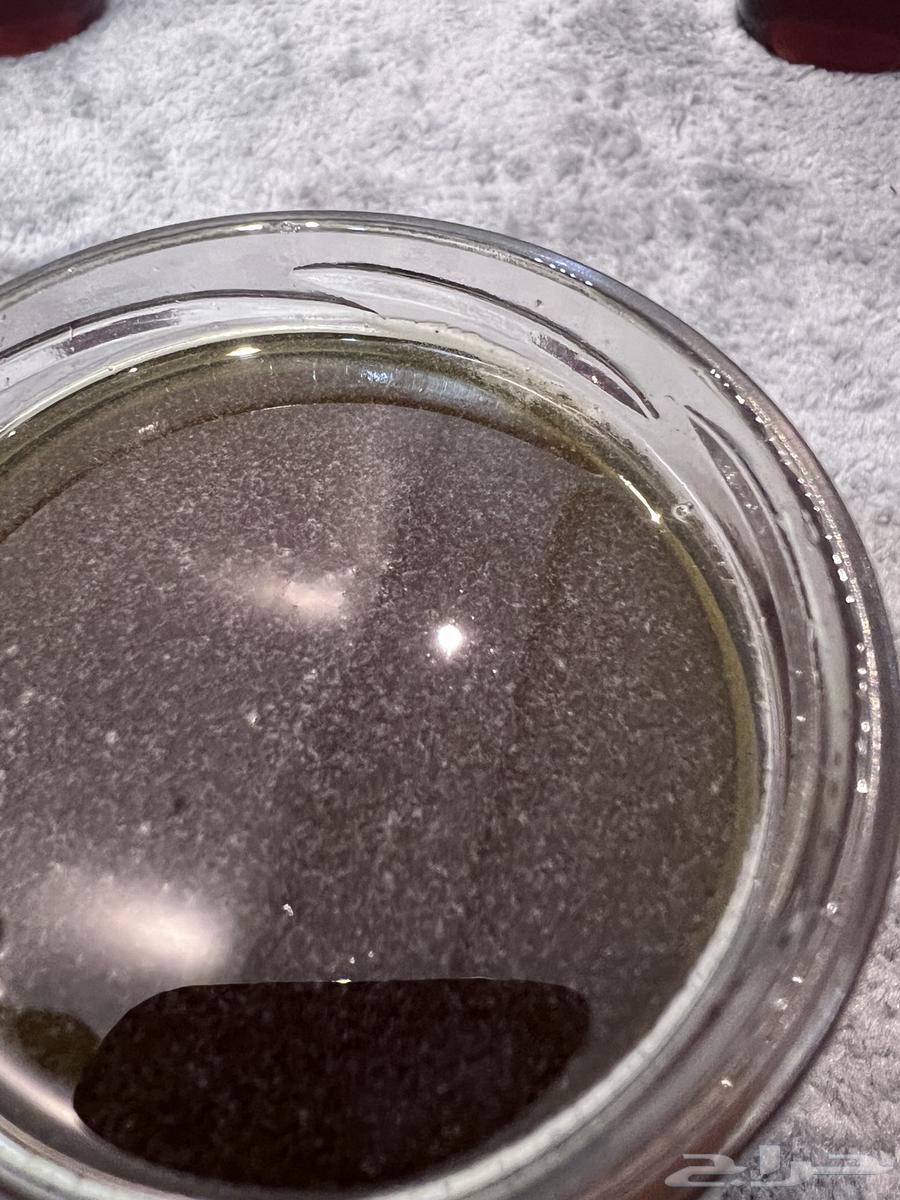 Traditional Sidr Honey, Conditioned64483301284225111