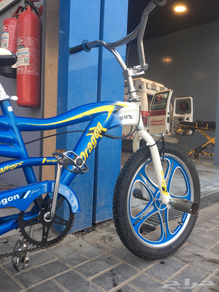 سيكل كوبرا64484294424834111