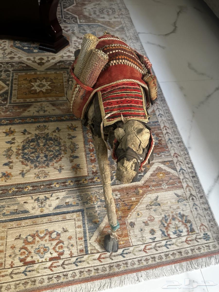 للبيع مجسم على شكل جمل64482918963331110