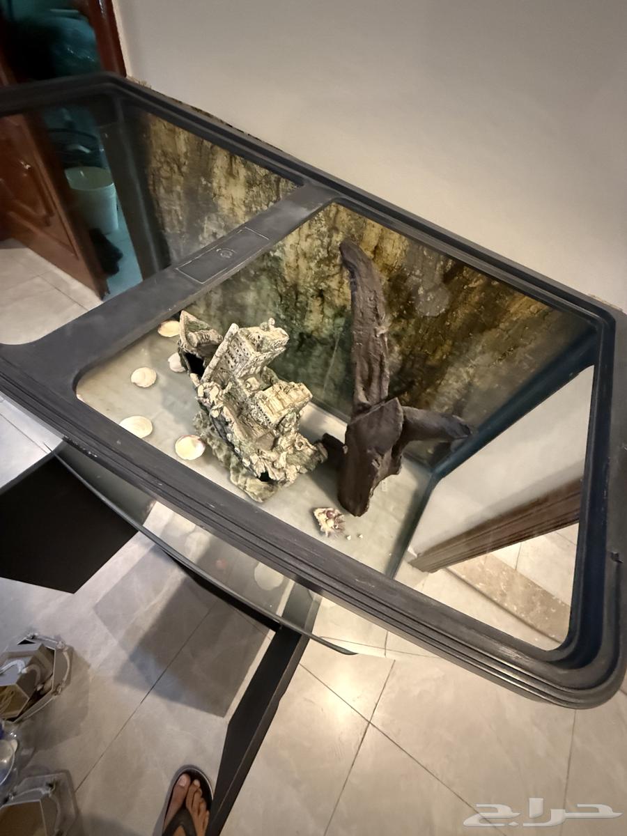 حوض سمك للبيع ماركة JEBO64483451791361111