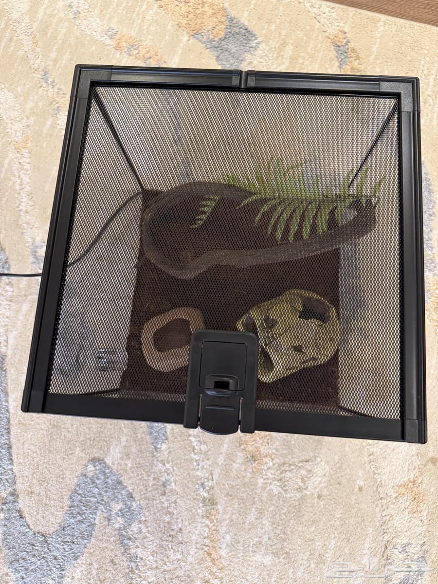 قفص قزاز بيت64482728137091114